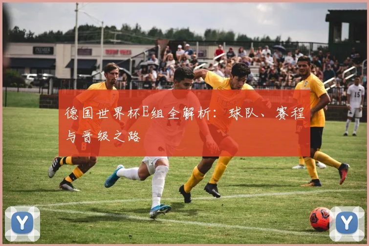 德国世界杯E组全解析：球队、赛程与晋级之路